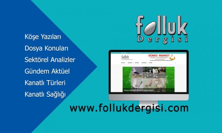 Türkiye’nin İlk Kanatlı Haber Sitesi Açıldı