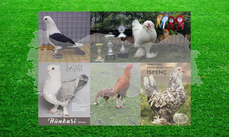 Türkiye Biyolojik Mirasına Sahip Çıkıyor