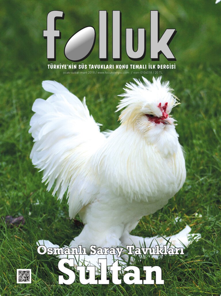 Folluk Dergisi 1. Sayı Dijital