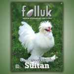 Folluk Dergisi 1. Sayı