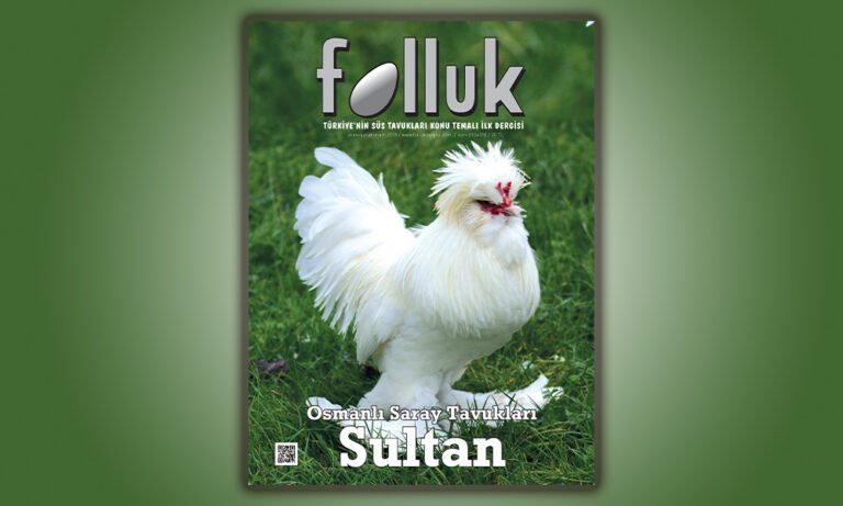 Folluk Dergisi 1. Sayı
