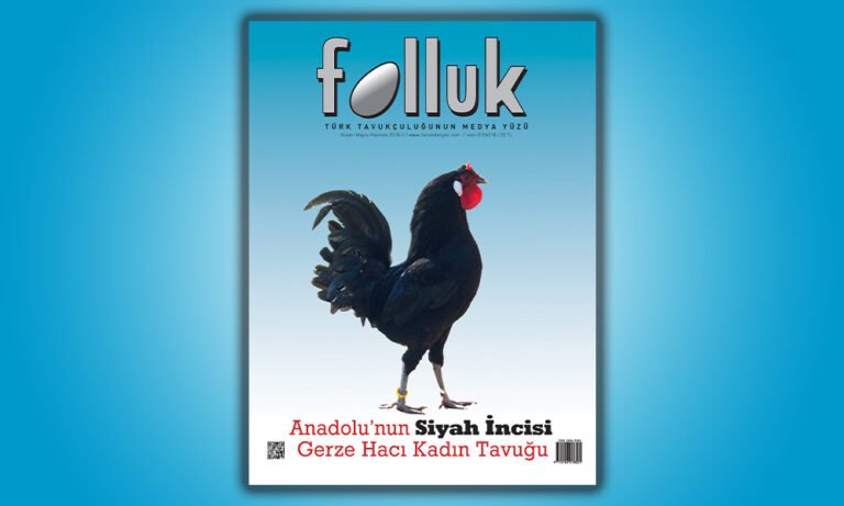 Başlarken 2