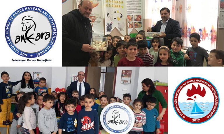 Kanatlı Çocuklar Projesi