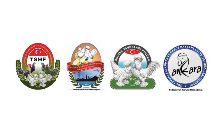 Okul Uygulama Projeleri