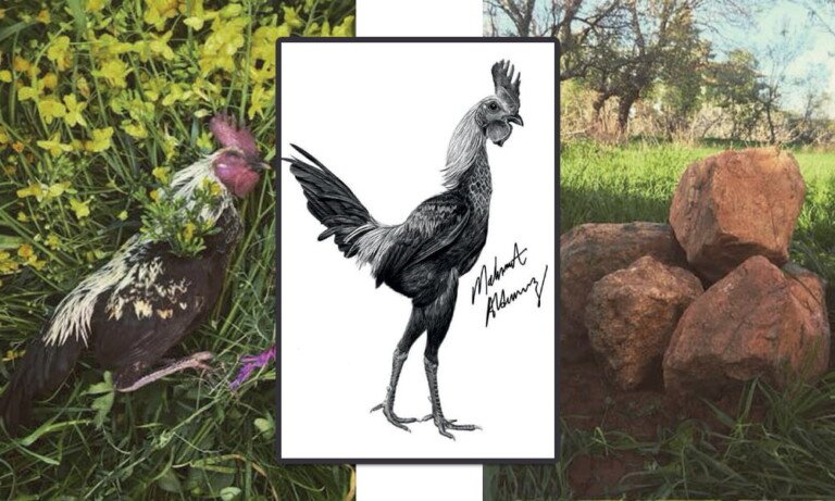 Sevgi ve Vefa Timsali Güzel Bir Örnek