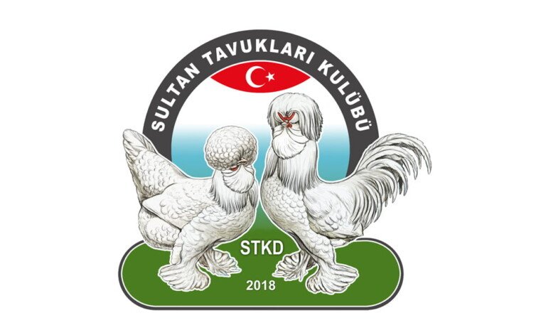 Türkiye’nin İlk Süs Tavuğu Kulübü “Sultan Kulüp” Kuruldu