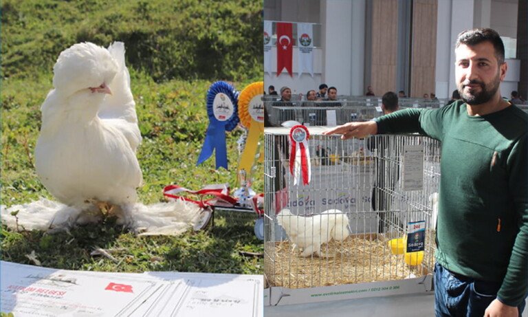 Sultan Türkiye Şampiyonu