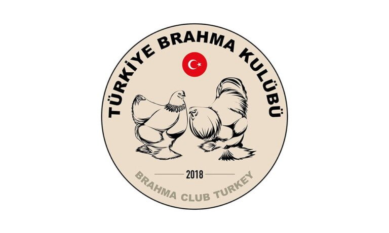 Brahma Kulüp