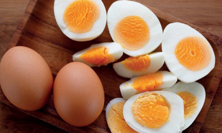 Yumurta Tavukçuluğu