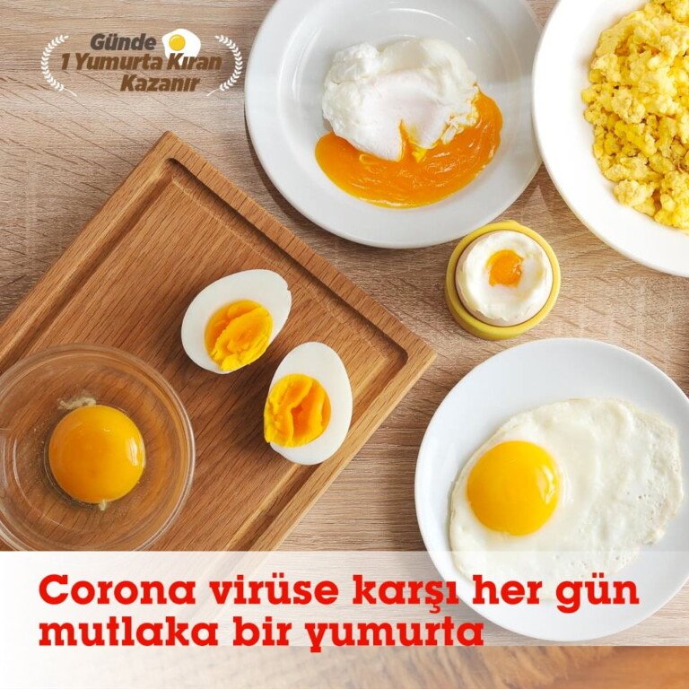 Corona Virüs’e Karşı Yumurta