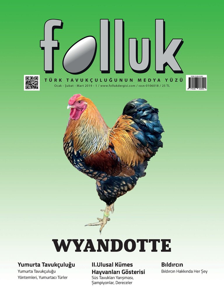 Folluk Dergisi 3. Sayı Dijital