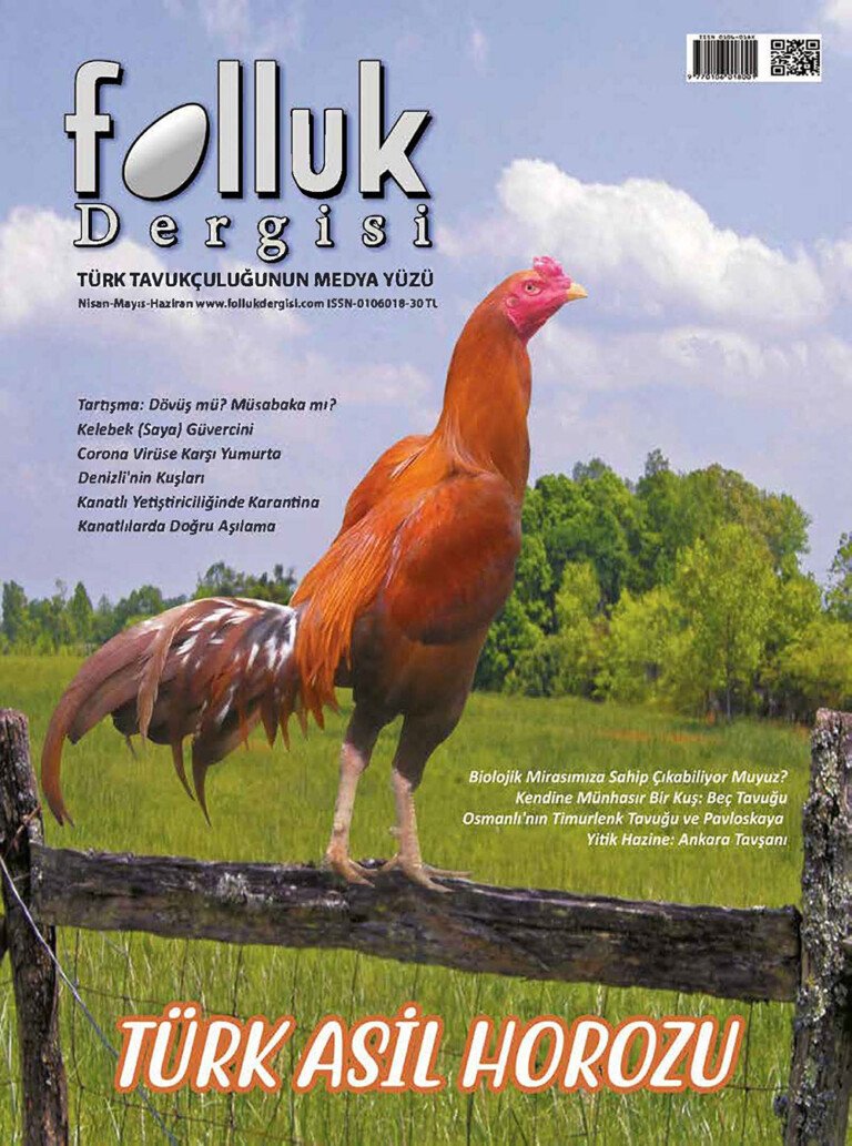 Folluk Dergisi 7. Sayı Dijital