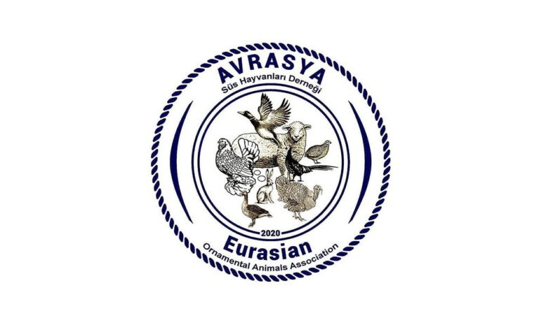 Süs Tavukları Camiasına Taze Kan