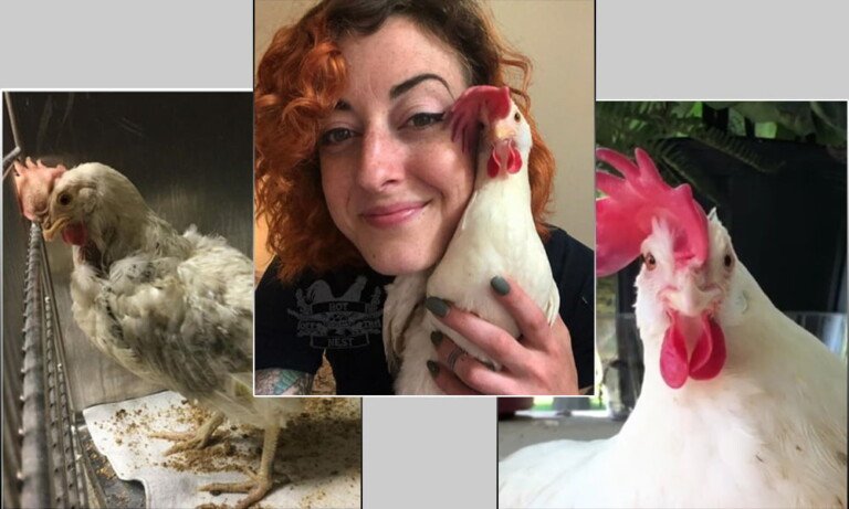 İyi Bir İnsan ve Dayton’un Hikayesi