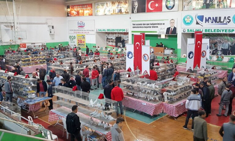 Egeli Güvercin Severler Salihli’de Buluştu