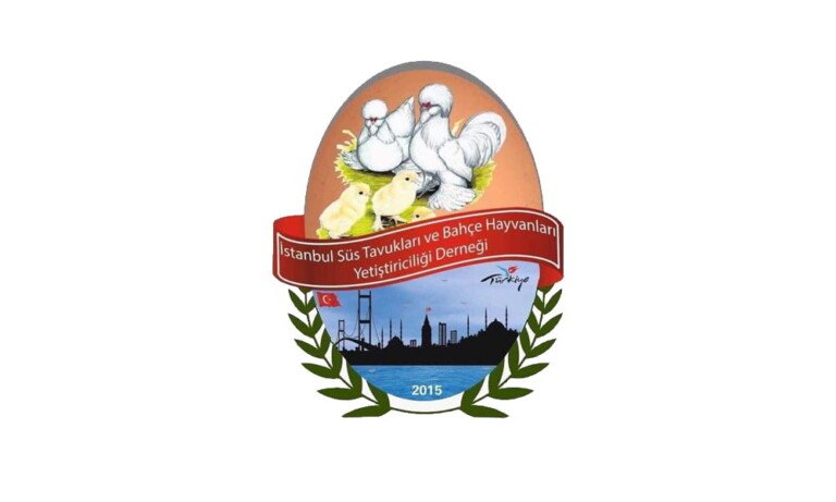 İstanbul Ön Değerlendirme Semineri