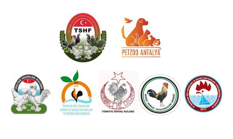 Yerli Süs Tavukları Antalya’da Podyuma Çıkıyor