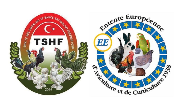 Türkçe Süs Tavuğu ve Kümes Hayvanları Terimler Sözlüğü Yayınlandı