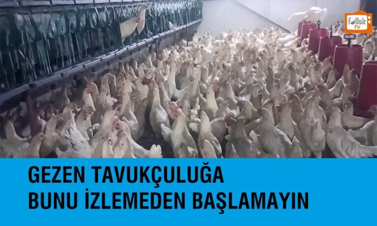 Gezen Tavukçuluğa Bunu İzlemeden Başlamayın