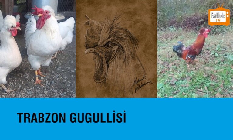 Trabzon Gugulli