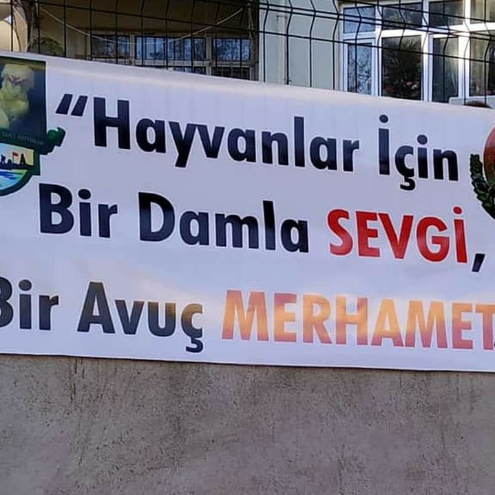 “Hayvanlar İçin Bir Damla Sevgi Bir Avuç Merhamet” Konulu Resim Yarışması Büyük İlgi Gördü