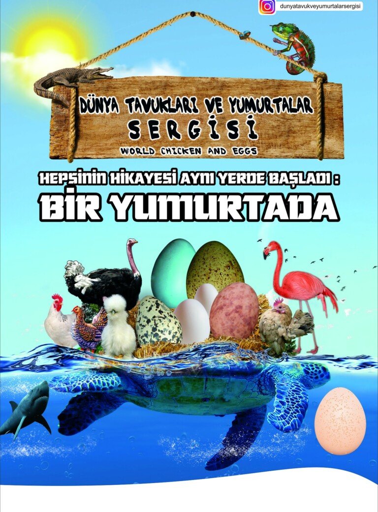 Türkiye’nin İlk Yumurta Sergisi Ziyaretçi Rekoruna Koşuyor