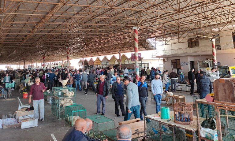 Antalya Kepez Kanatlı Hayvan Pazarı