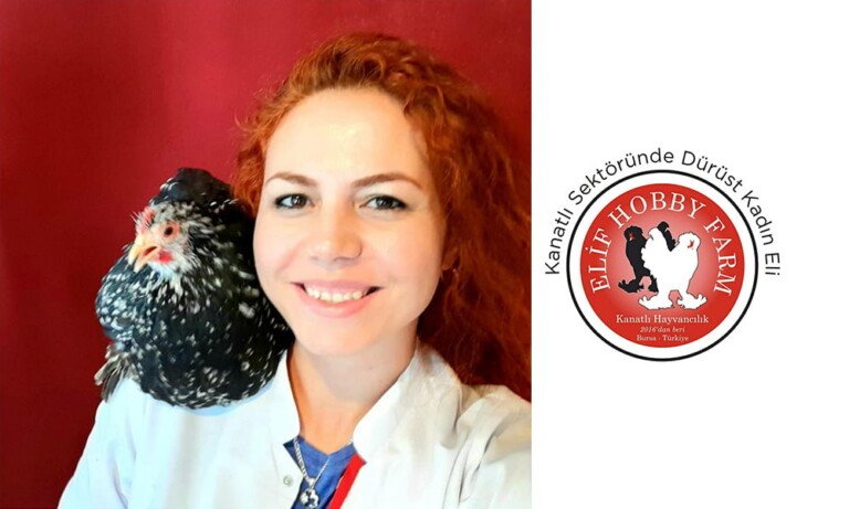 Kanatlı Sektöründe Dürüst Kadın Eli: Elif Yıldızalp Serbest