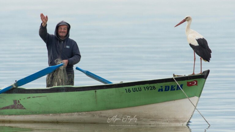 Yaren Leylek Geri Döndü