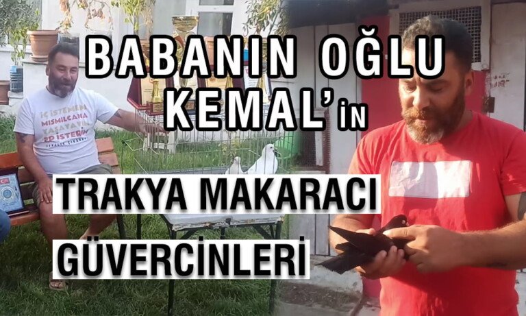 Babanın Oğlu Kemal’in Trakya Makaracı Güvercinleri
