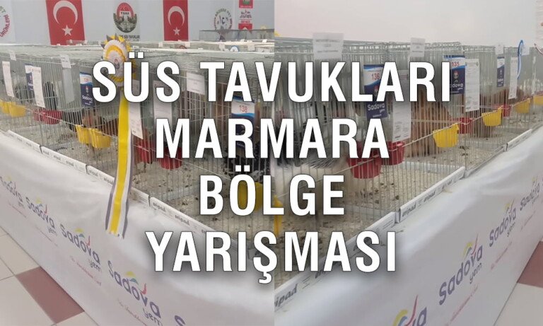 Süs Tavukları Marmara Bölge Yarışması