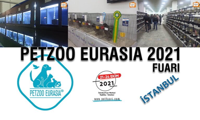 Petzoo Eurasia 2021