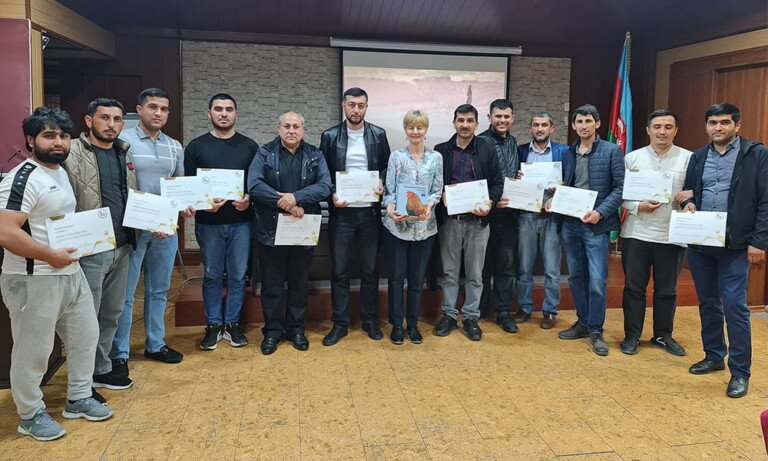 Süs Tavukçuluğu Azerbaycan’da İnkişaf Ediyor