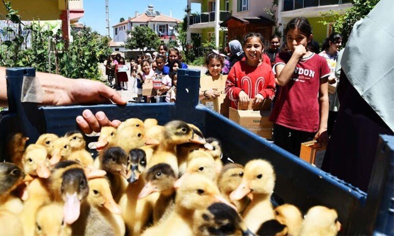 Yaz Kur’an Kursuna Katılan Çocuklara Hediye Ördek Civcivi Dağıtıldı