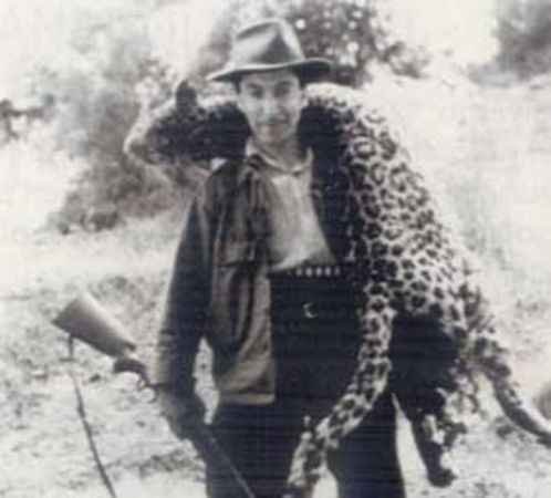 Anadolu Pars Panthera Pardus Tulliana Folluk Dergisi