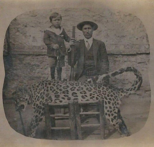 Anadolu Pars Panthera Pardus Tulliana Folluk Dergisi