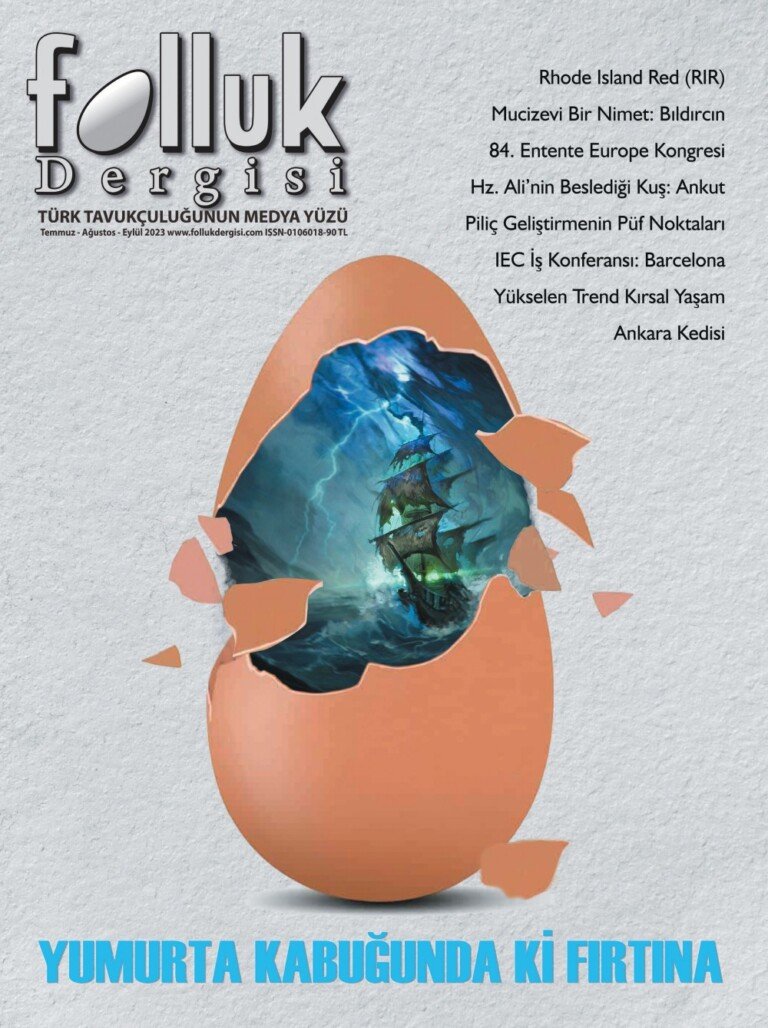 Folluk Dergisi 11. Sayı Dijital