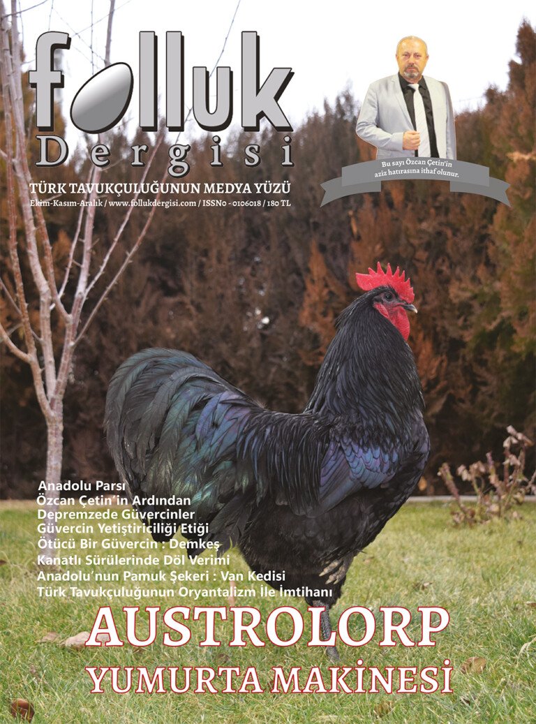 Folluk Dergisi 12. Sayı Dijital