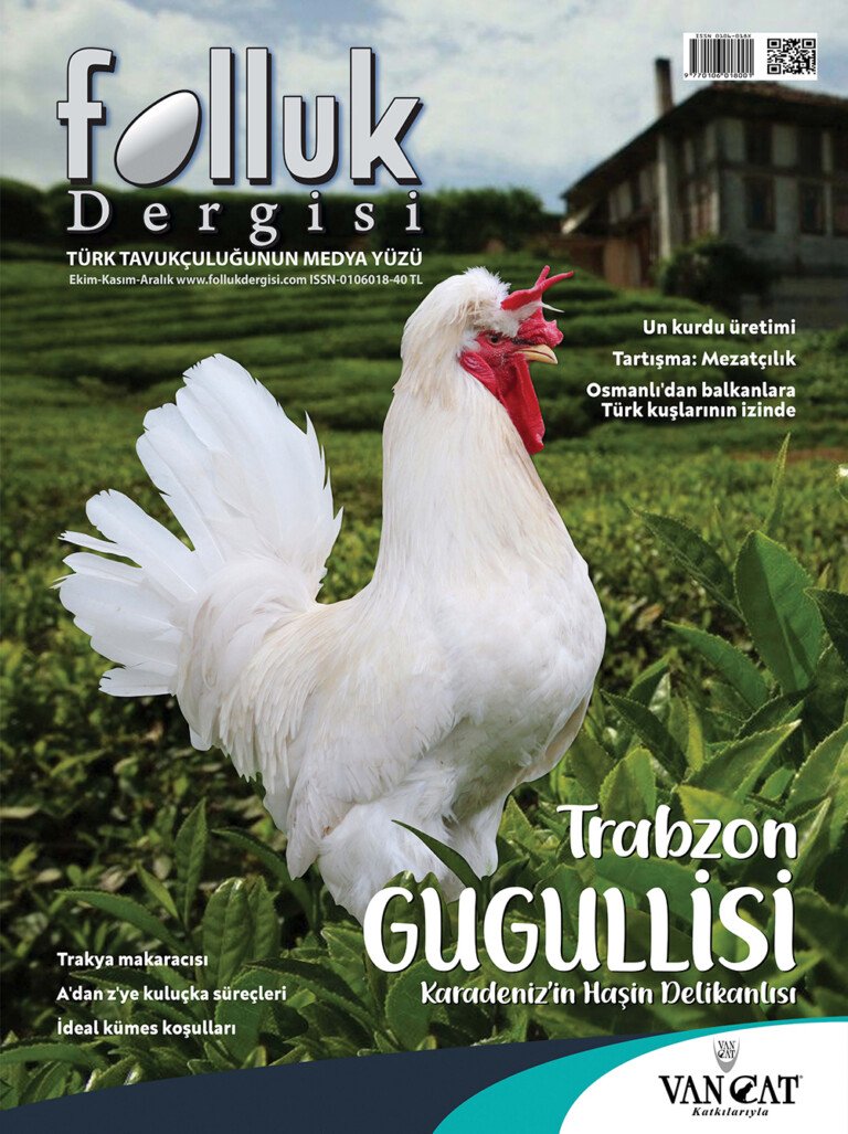 Folluk Dergisi 8. Sayı Dijital