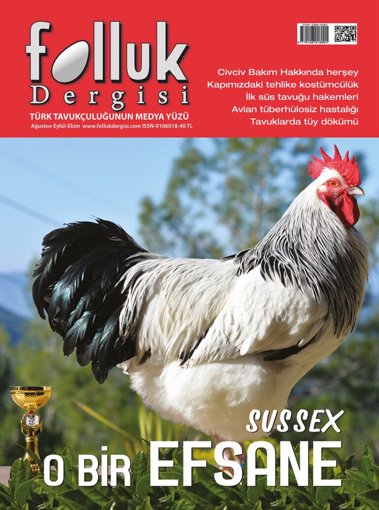 Folluk Dergisi 9. Sayı Dijital