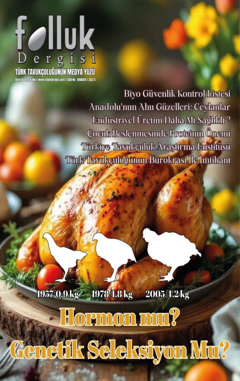 Folluk Dergisi 13. Sayı Dijital