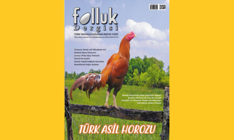 Başlarken 7