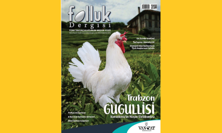BAŞLARKEN 8