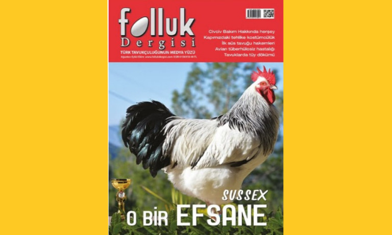 BAŞLARKEN 9