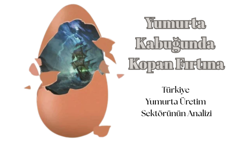 Bir Yumurta Kabuğunda Kopan Fırtınalar