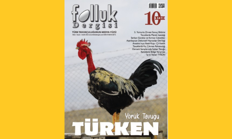 Başlarken 10